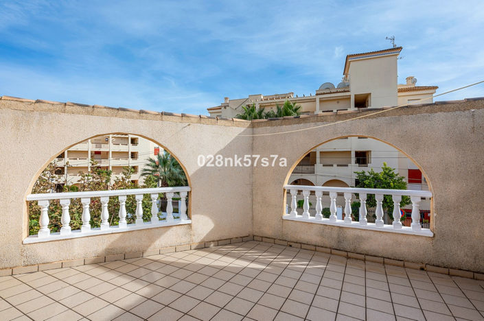 Image No.26-Villa de 4 chambres à vendre à Playa Flamenca