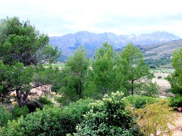 Image No.21-5 Bed Villa for sale