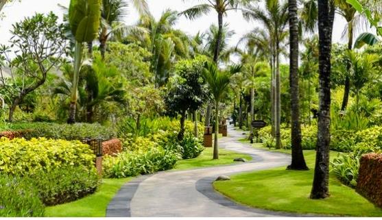 Image No.23-Maison / Villa de 1 chambre à vendre à Lesser Sunda Islands