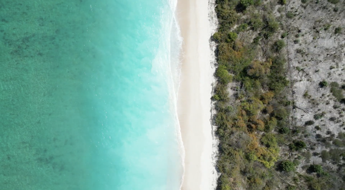 Image No.46-Maison / Villa de 1 chambre à vendre à Lesser Sunda Islands