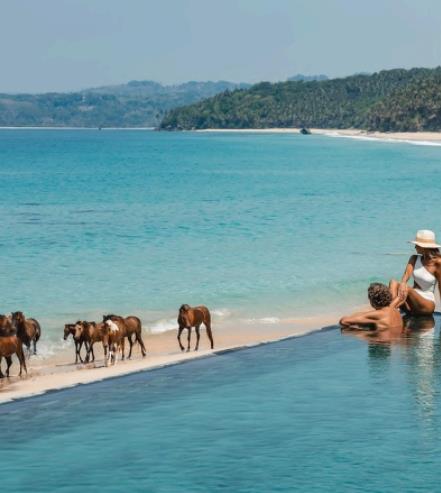 Image No.47-Villa / Détaché de 1 chambre à vendre à Lesser Sunda Islands