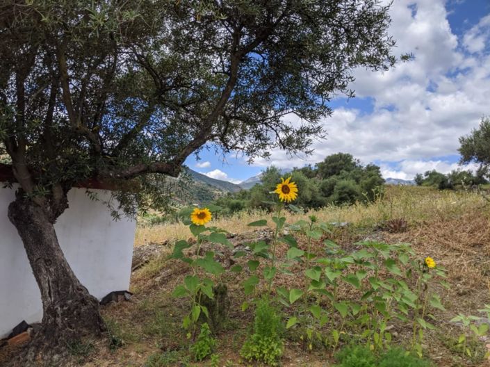 Image No.18-1 Bed Country House for sale