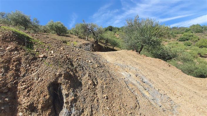 Image No.9-Terre à vendre à Monda