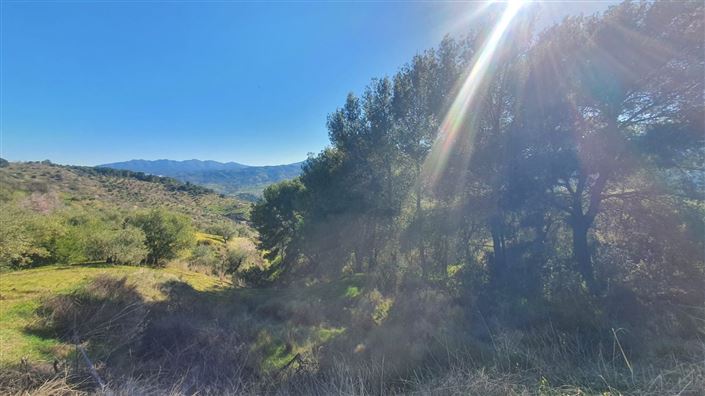 Image No.10-Terre à vendre à Alozaina