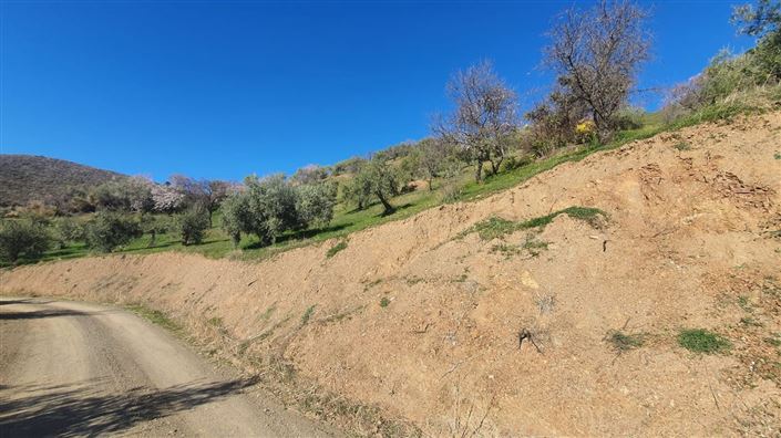 Image No.7-Terre à vendre à Alozaina