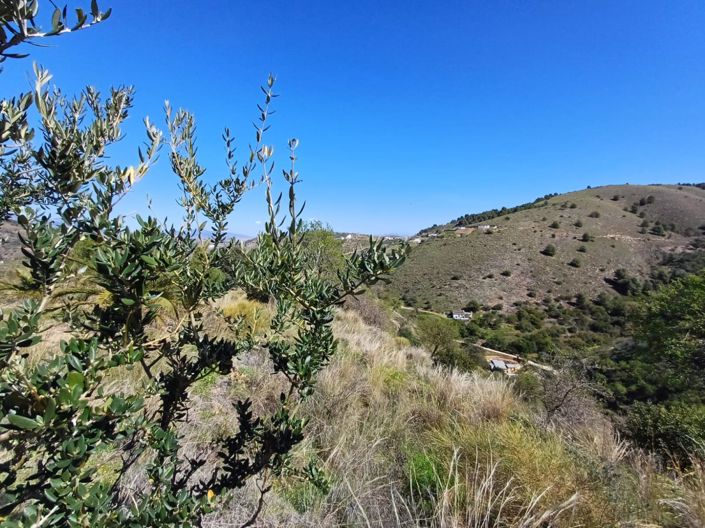 Image No.11-Land for sale