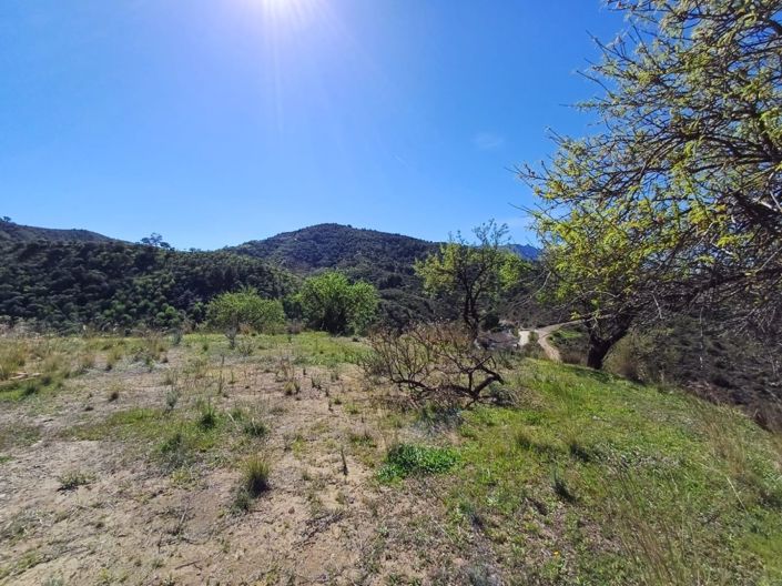 Image No.3-Land for sale