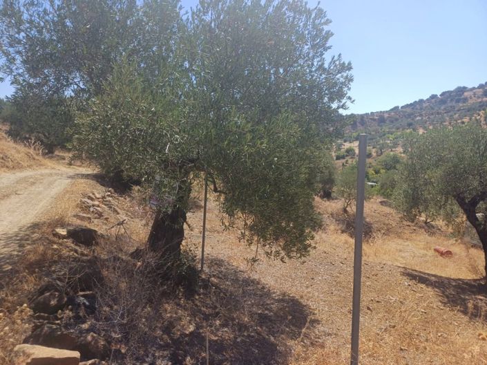 Image No.2-Land for sale