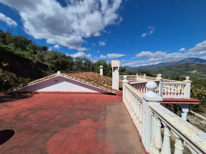 Image No.22-Maison de campagne de 3 chambres à vendre à Guaro