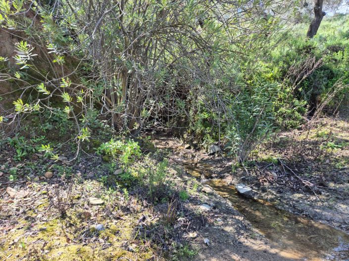 Image No.24-Maison de campagne de 3 chambres à vendre à Guaro