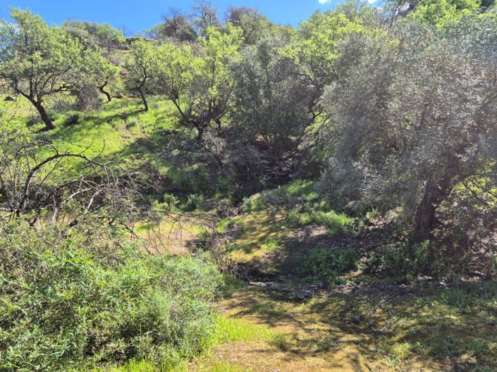 Image No.25-Maison de campagne de 3 chambres à vendre à Guaro