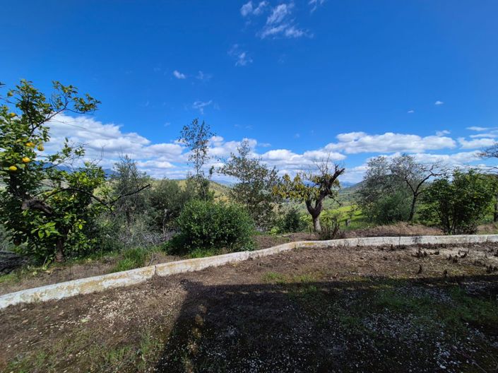 Image No.26-Maison de campagne de 3 chambres à vendre à Guaro