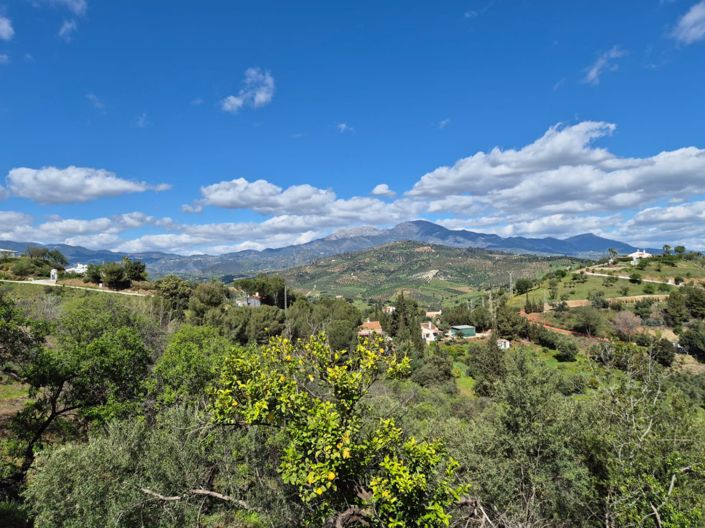 Image No.28-Maison de campagne de 3 chambres à vendre à Guaro