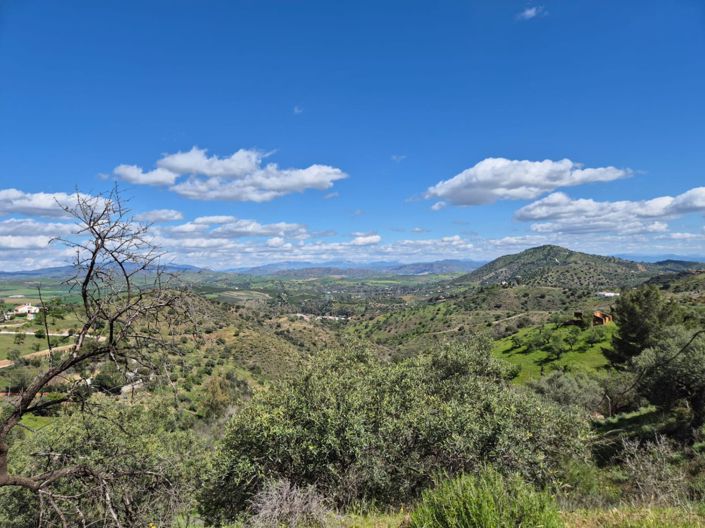 Image No.3-Maison de campagne de 3 chambres à vendre à Guaro