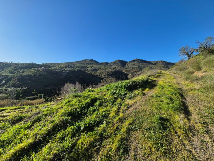 Image No.19-1 Bed Country House for sale