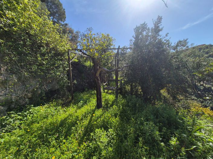 Image No.21-Maison de campagne de 1 chambre à vendre à Alozaina