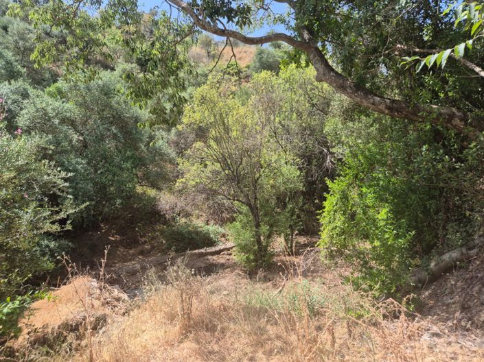 Image No.25-Maison de campagne de 3 chambres à vendre à Guaro