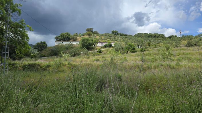 Image No.28-Maison de campagne de 3 chambres à vendre à Guaro
