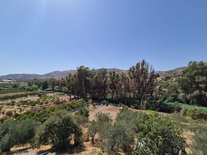 Image No.26-5 Bed Country House for sale