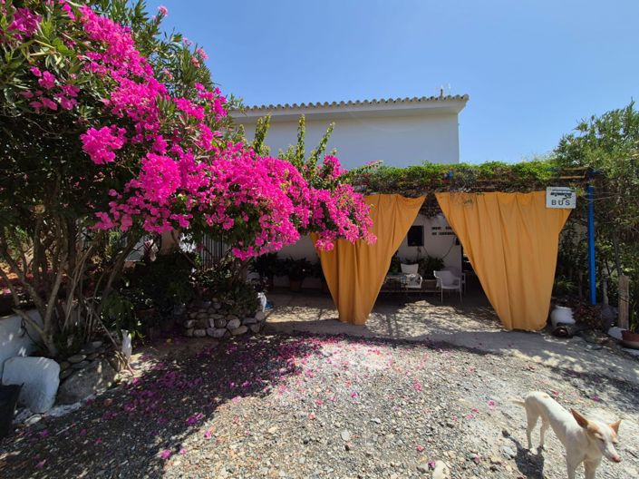 Image No.4-5 Bed Country House for sale