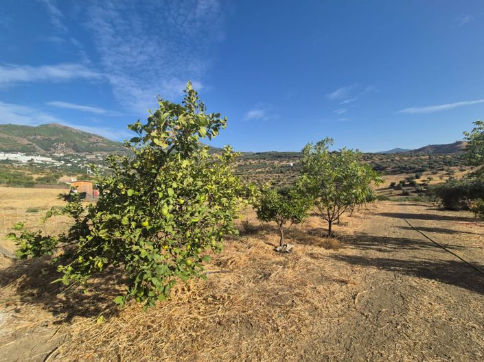 Image No.2-Land for sale