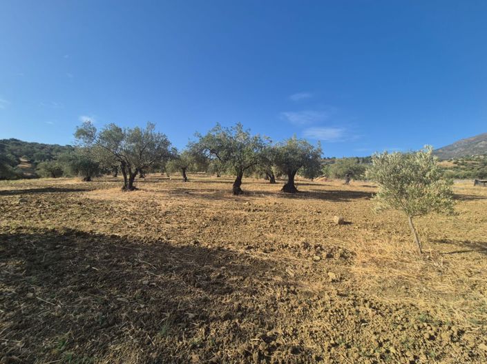 Image No.3-Land for sale