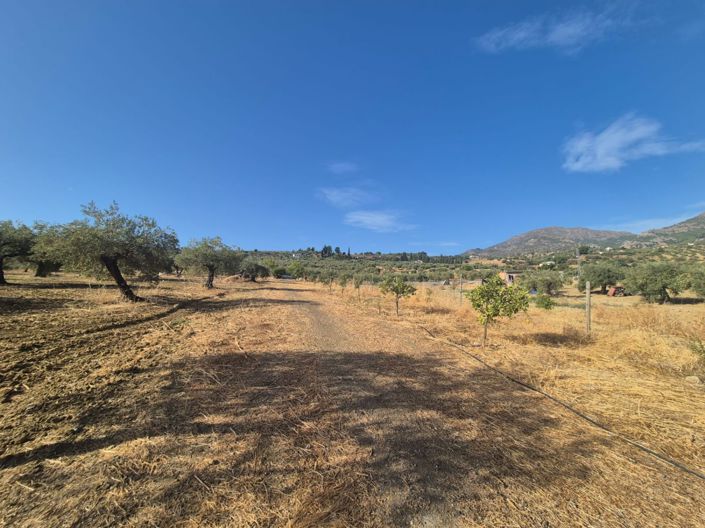 Image No.5-Land for sale