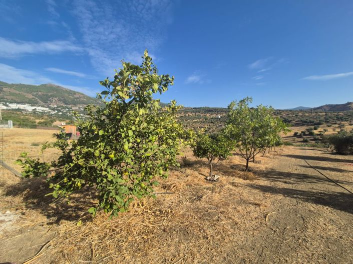 Image No.6-Land for sale