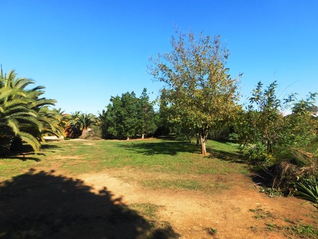 Image No.22-Villa de 4 chambres à vendre à Pedreguer