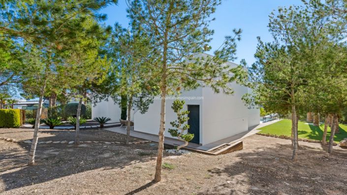 Image No.8-4 Bed Villa for sale