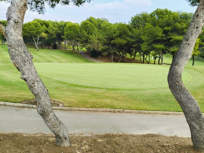 Image No.7-5 Bed Villa for sale