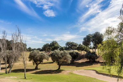 o1j5bs1c0fnbabjh1lhq1dob1pql1v