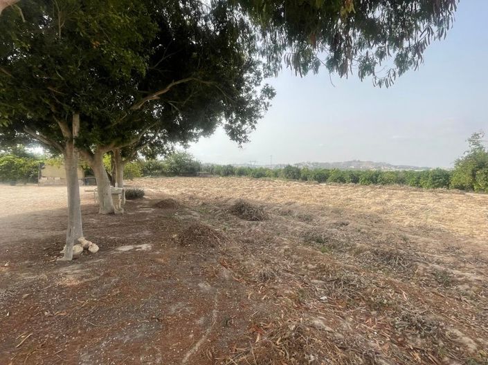 Image No.25-3 Bed Finca for sale