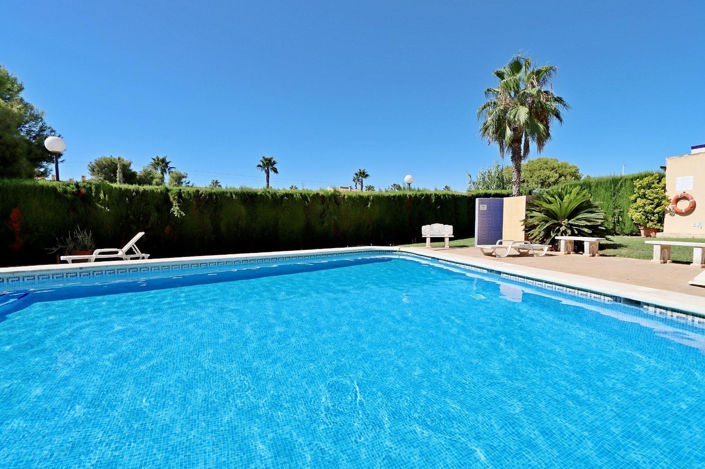 Image No.37-Maison de ville de 2 chambres à vendre à La Zenia