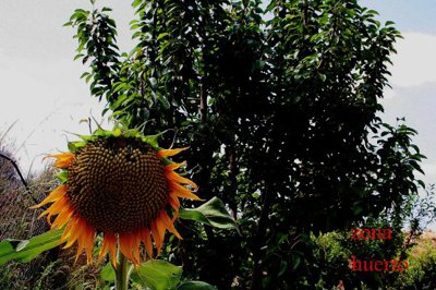 o1jbi77psh19m0v953tovc77s82s