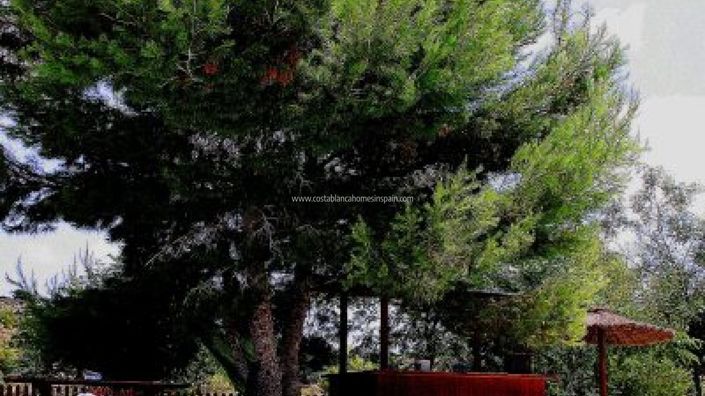 Image No.18-3 Bed Finca for sale