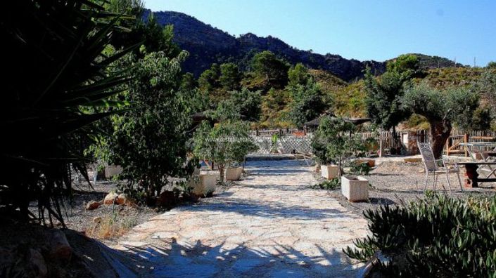 Image No.5-3 Bed Finca for sale