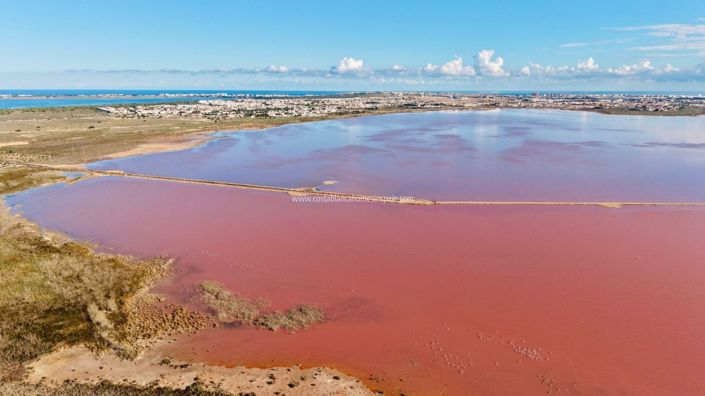 Image No.20-Appartement de 3 chambres à vendre à Torrevieja