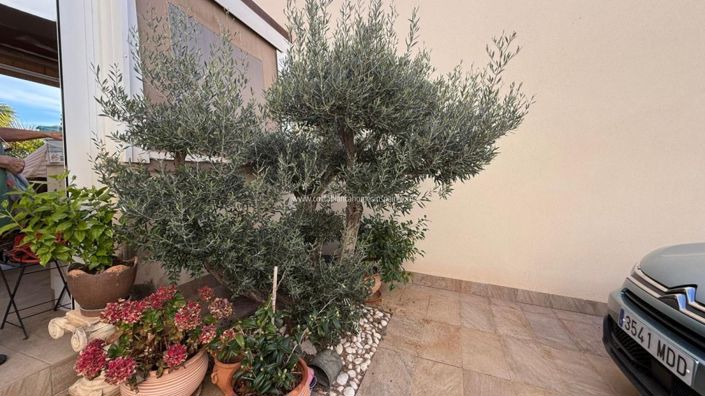 Image No.12-Villa de 3 chambres à vendre à Los Montesinos