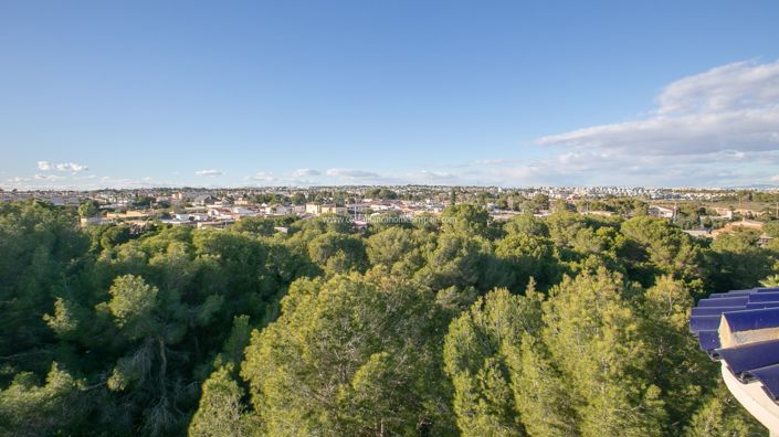 Image No.43-2 Bed Apartment for sale