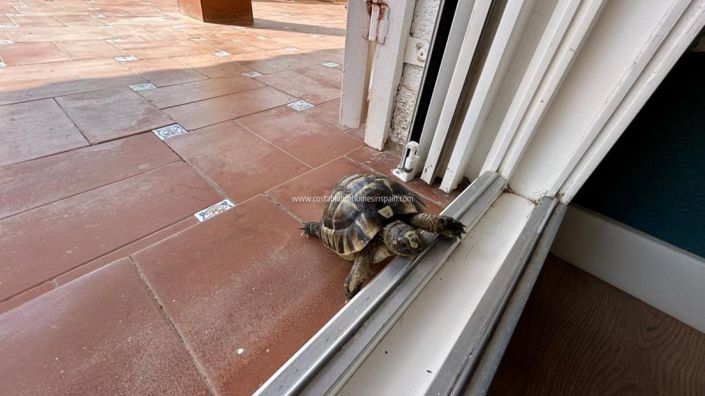 Image No.23-3 Bed Villa for sale