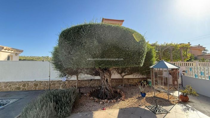 Image No.14-3 Bed Villa for sale