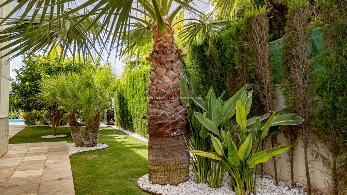 Image No.32-Villa de 6 chambres à vendre à La Zenia