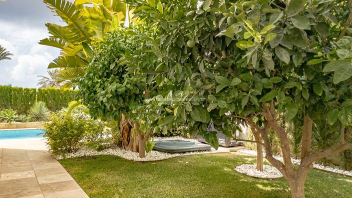 Image No.33-Villa de 6 chambres à vendre à La Zenia