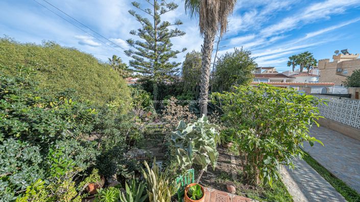 Image No.31-Propriété de 4 chambres à vendre à Torrevieja