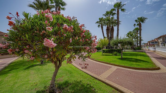 Image No.28-Appartement de 2 chambres à vendre à Playa Flamenca