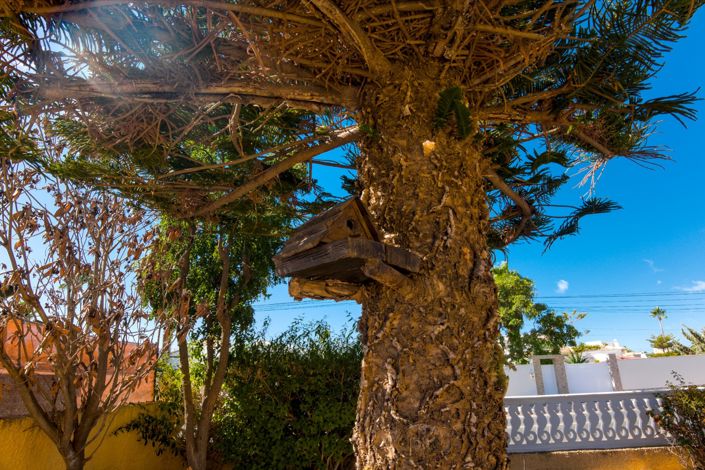 Image No.8-Villa de 2 chambres à vendre à Torrevieja