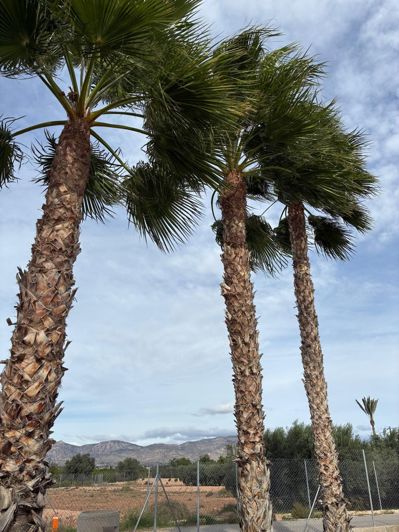 Image No.34-5 Bed Villa for sale