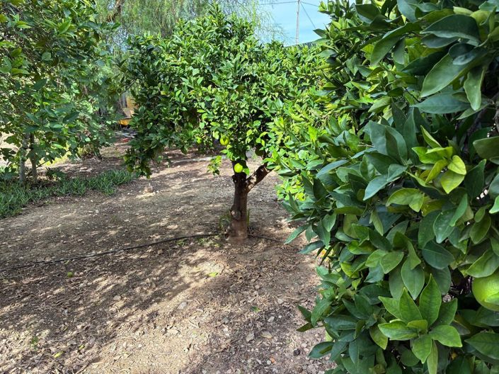 Image No.36-5 Bed Villa for sale