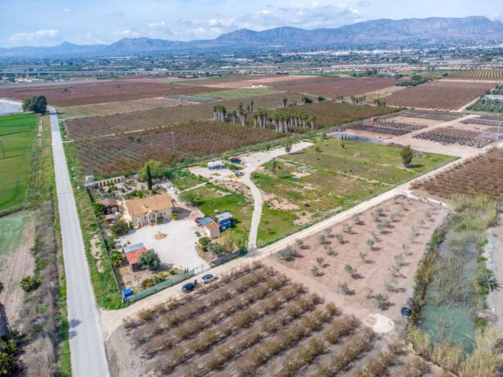 Image No.42-Finca de 5 chambres à vendre à Albatera